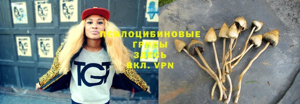 mix Абаза