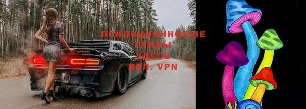 ГАЛЛЮЦИНОГЕННЫЕ ГРИБЫ Абдулино